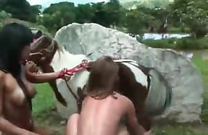 Quái thú được huấn luyện quái cô ấy chật lỗ